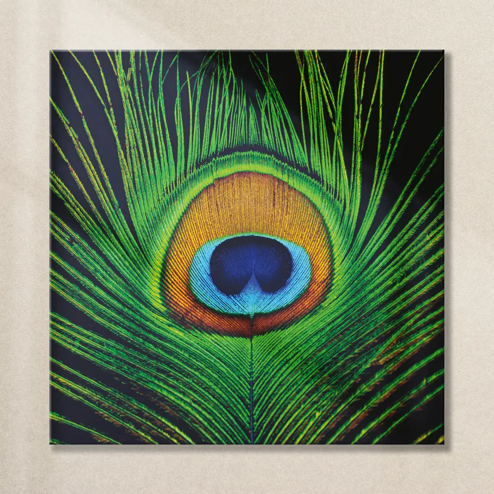 Фото Картина без рамки Postermarket Перо павлина 30x30 см Фото Картина без рамки Postermarket Перо павлина 30x30 см
