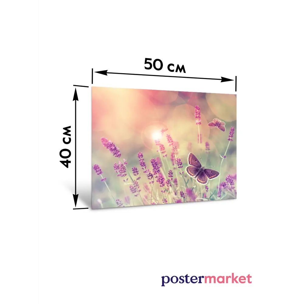 Фото 6 Картина без рамки Postermarket Бабочка 40x50 см Фото 6 Картина без рамки Postermarket Бабочка 40x50 см