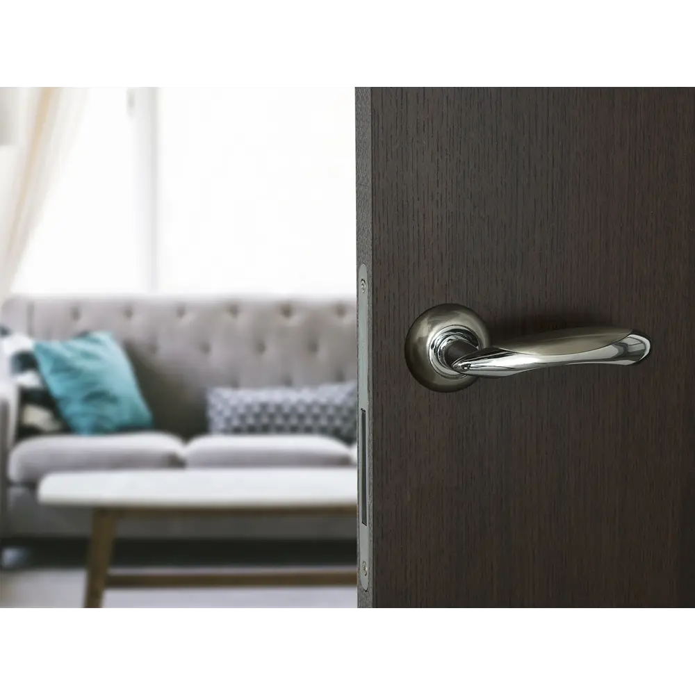 Фото 4 Дверная ручка Palladium Ariel SN/CP