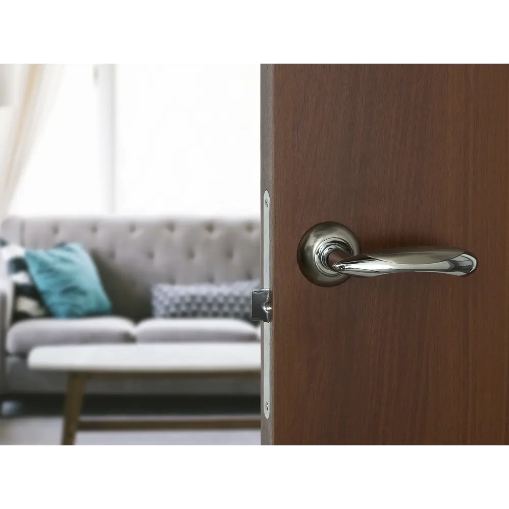 Фото 3 Дверная ручка Palladium Ariel SN/CP