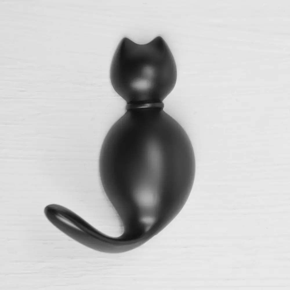 Фото 4 Крючок для одежды Cappio 3.20x1.50x6.50 см цвет черный Фото 4 Крючок для одежды Cappio 3.20x1.50x6.50 см цвет черный