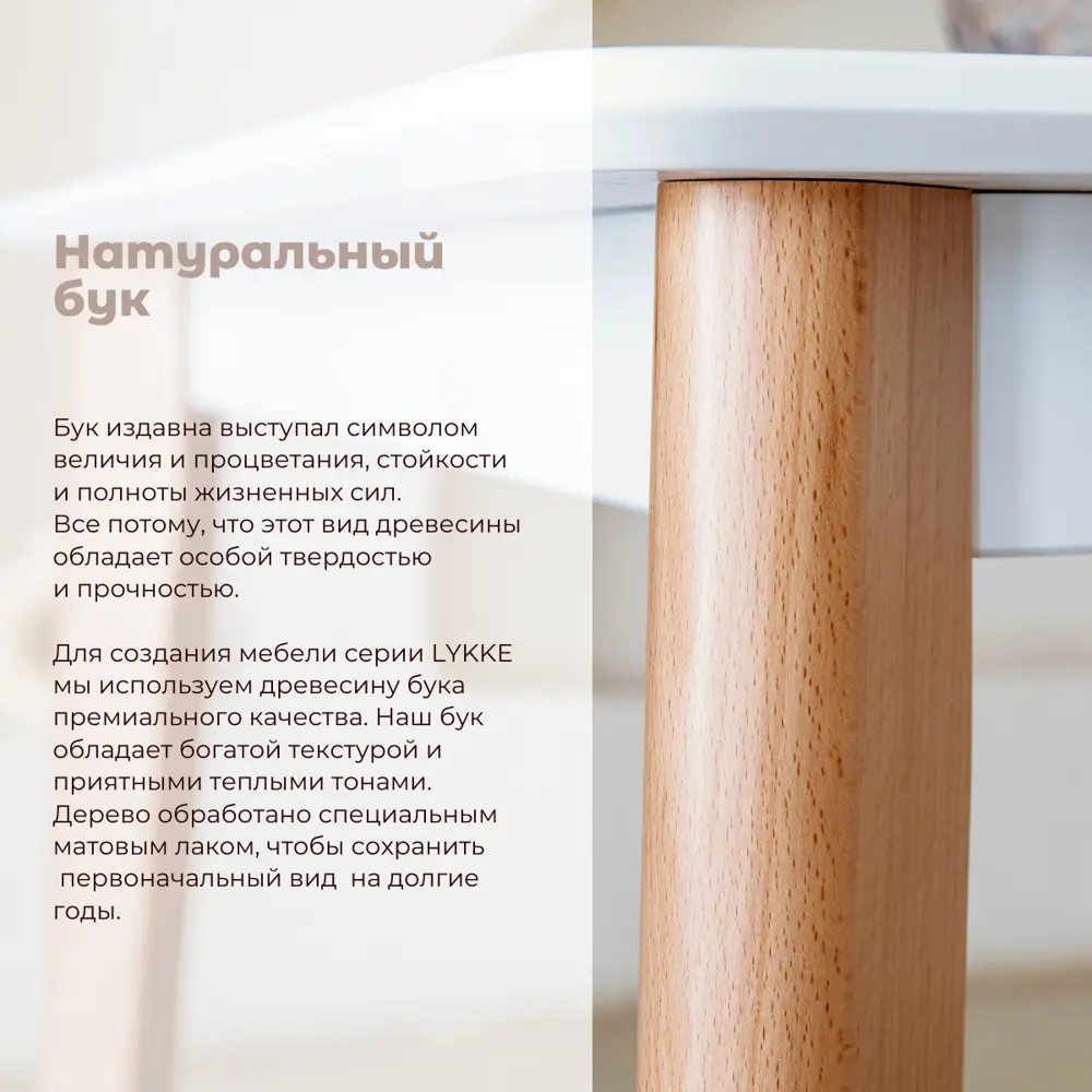 Фото 3 Кухонный стол прямоугольный Skyland Lykke R 100x60 см массив дерева цвет белый Фото 3 Кухонный стол прямоугольный Skyland Lykke R 100x60 см массив дерева цвет белый