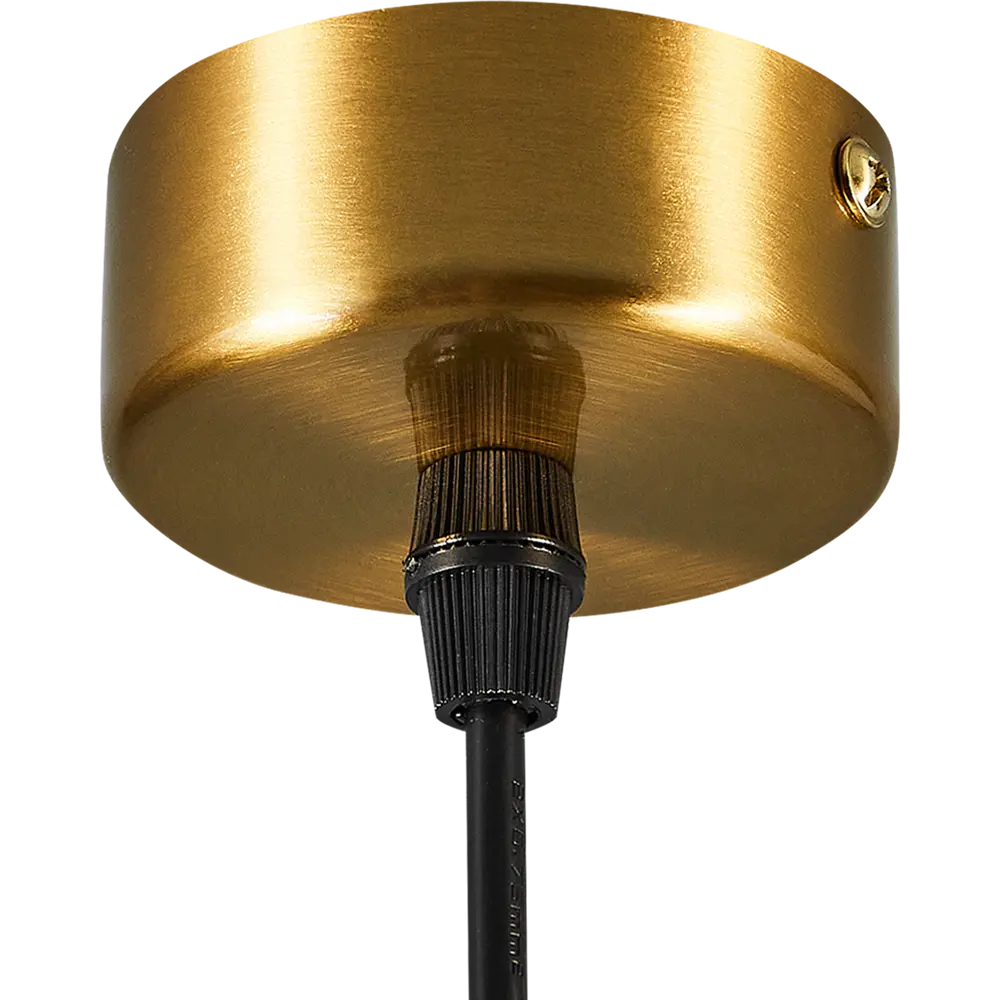 Фото 5 Светильник подвесной Arte Lamp Ran 1 лампа цвет бронза