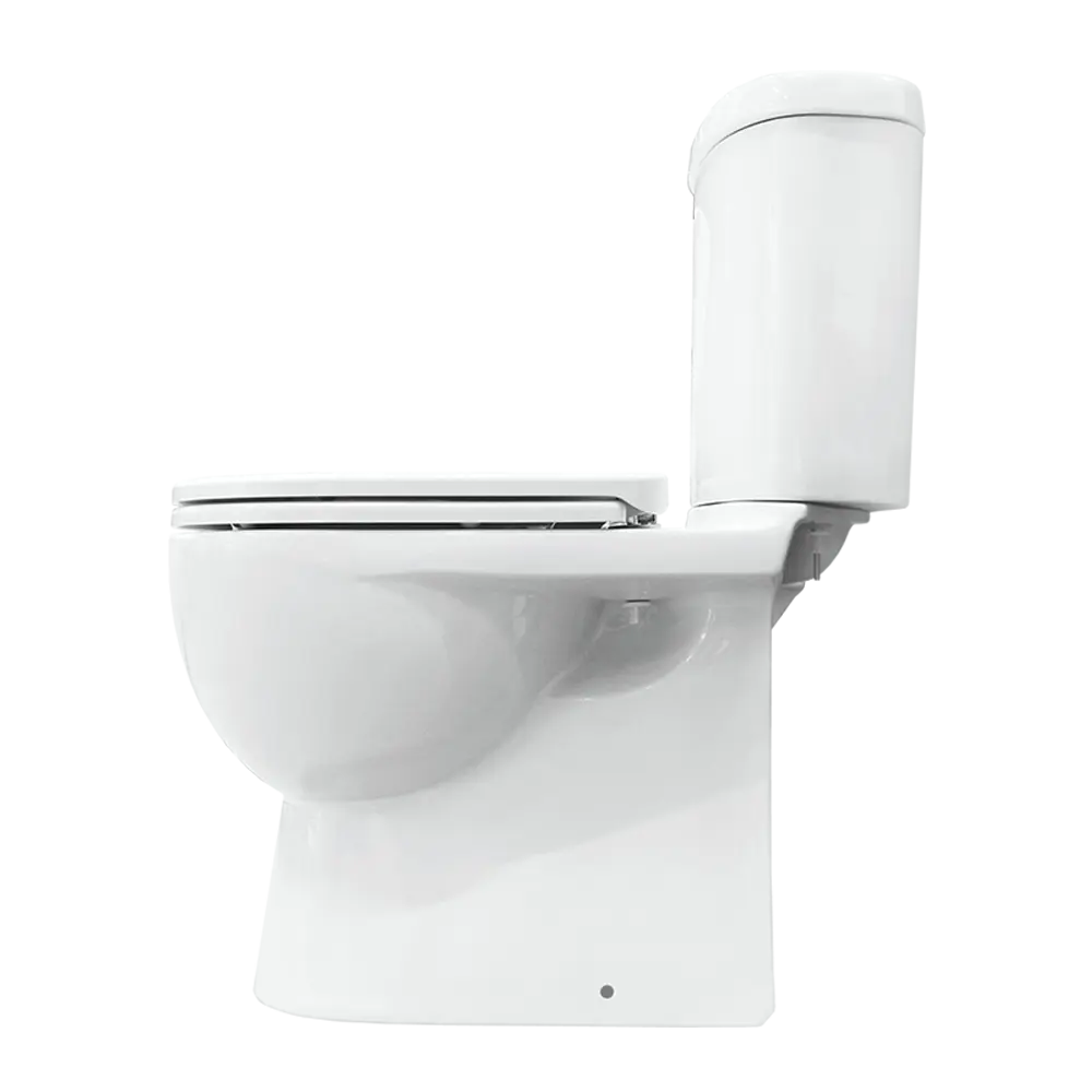 Фото 2 Унитаз-компакт Sanita Luxe Art Comfort WC.CC/Art/2-DM/WHT.G/S1 сиденье с микролифтом Фото 2 Унитаз-компакт Sanita Luxe Art Comfort WC.CC/Art/2-DM/WHT.G/S1 сиденье с микролифтом