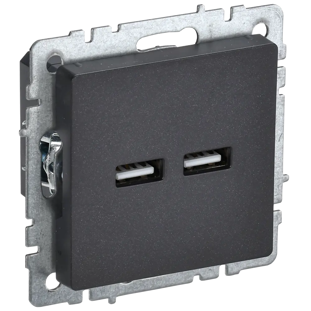 Фото Розетка USB встраиваемая Iek Brite BR-U21-D31-K02 цвет черный Фото Розетка USB встраиваемая Iek Brite BR-U21-D31-K02 цвет черный