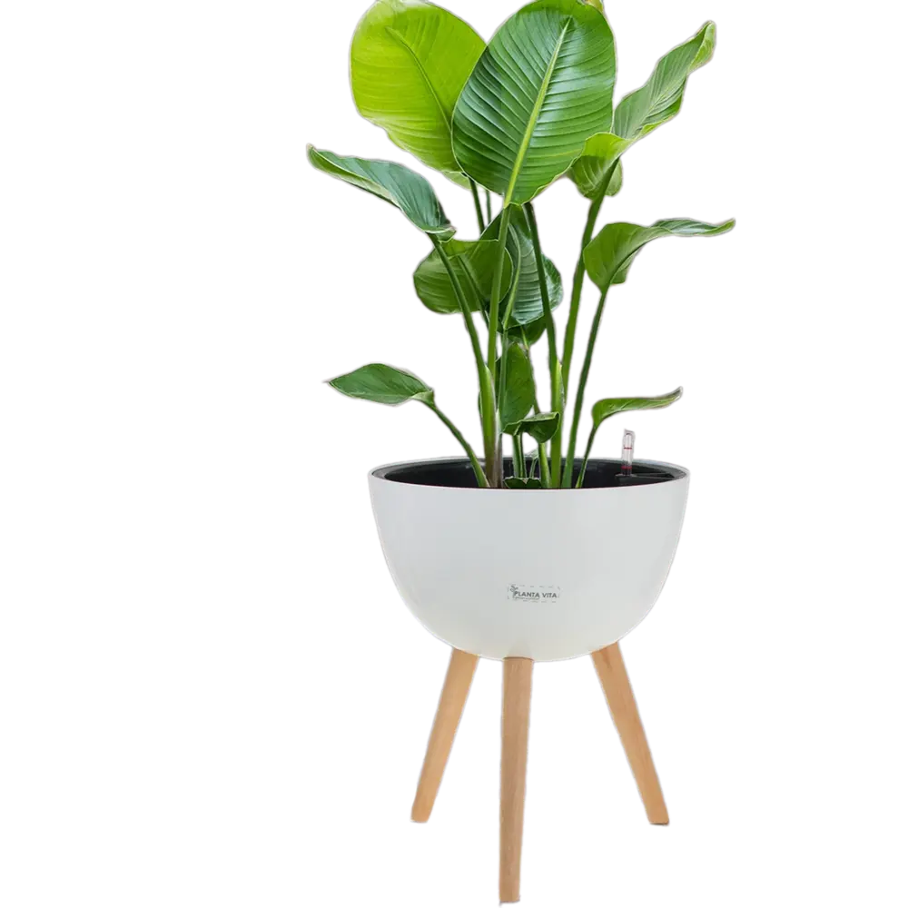 Фото 3 Кашпо Round silk Planta vita d 49 см 55 см 21 л пластик белый на ножках