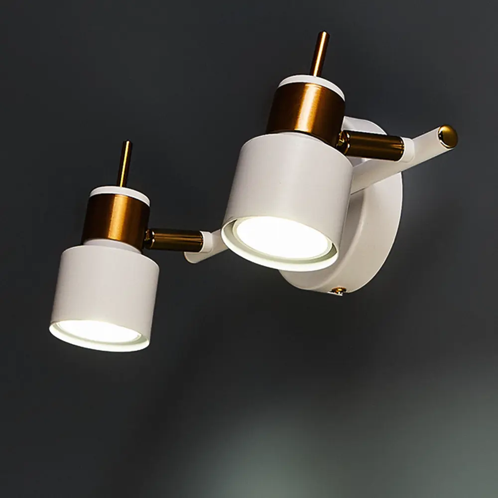 Фото 3 Спот поворотный Arte Lamp Almach 2 лампы GU10 6 м² цвет белый Фото 3 Спот поворотный Arte Lamp Almach 2 лампы GU10 6 м² цвет белый