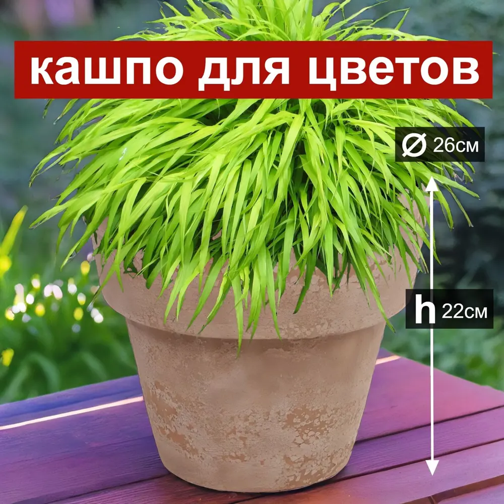 Фото Кашпо Cone Nobilis marco d 26 см 22 см 8 л керамика коричневый Фото Кашпо Cone Nobilis marco d 26 см 22 см 8 л керамика коричневый