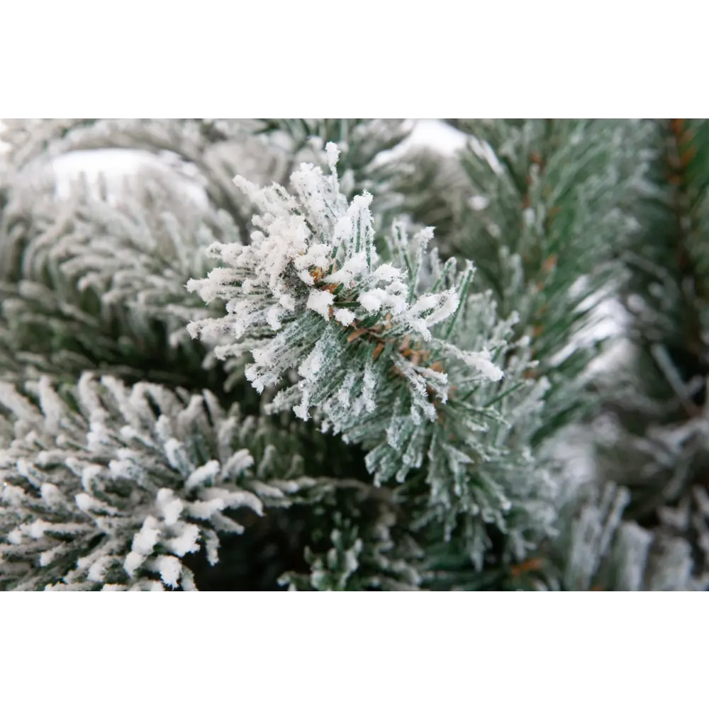 Фото 2 Искусственная Ель Crystal Trees Гарда заснеженная 240см. Фото 2 Искусственная Ель Crystal Trees Гарда заснеженная 240см.