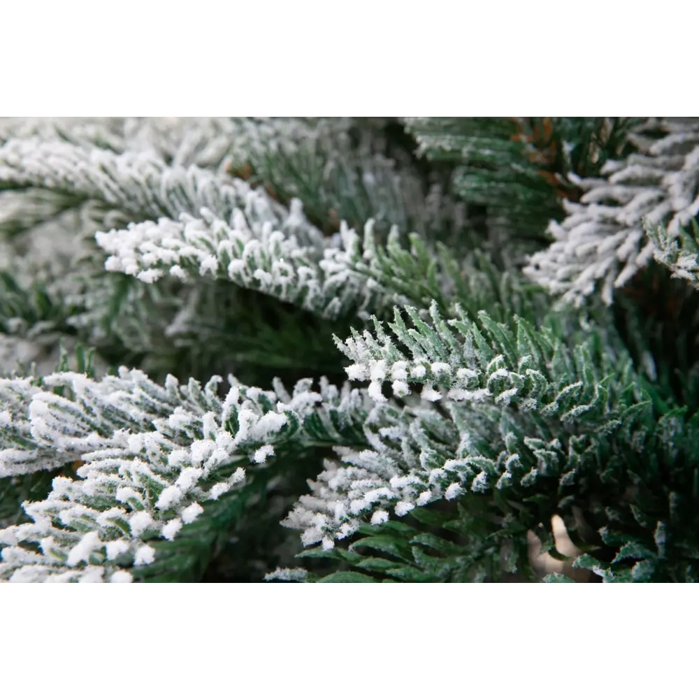 Фото 4 Искусственная Ель Crystal Trees Гарда заснеженная 240см. Фото 4 Искусственная Ель Crystal Trees Гарда заснеженная 240см.