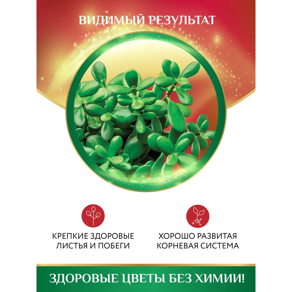 Фото 3 Удобрение БИО-комплекс Биококтейль Для толстянки 0.25л