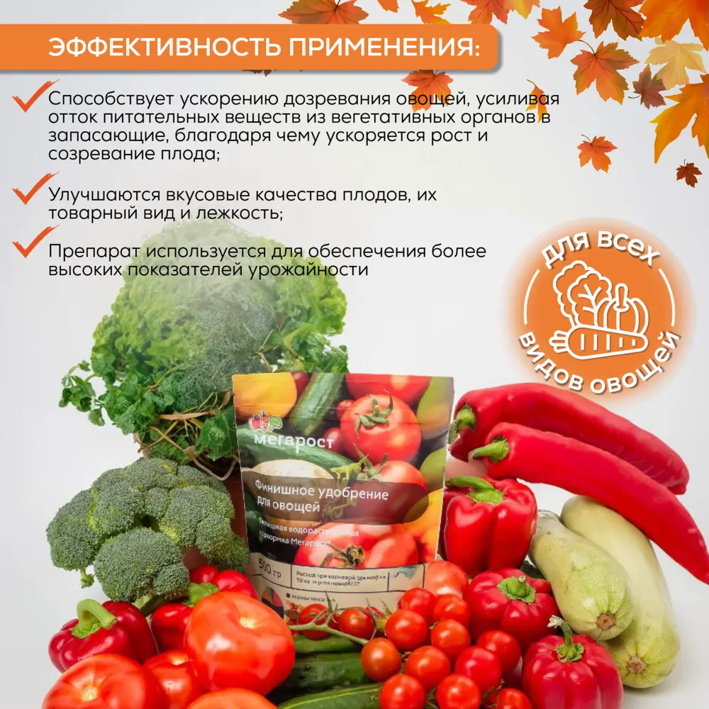 Фото 4 Осеннее удобрение Мегарост NPK 3-11-38 для овощей 500 г Фото 4 Осеннее удобрение Мегарост NPK 3-11-38 для овощей 500 г