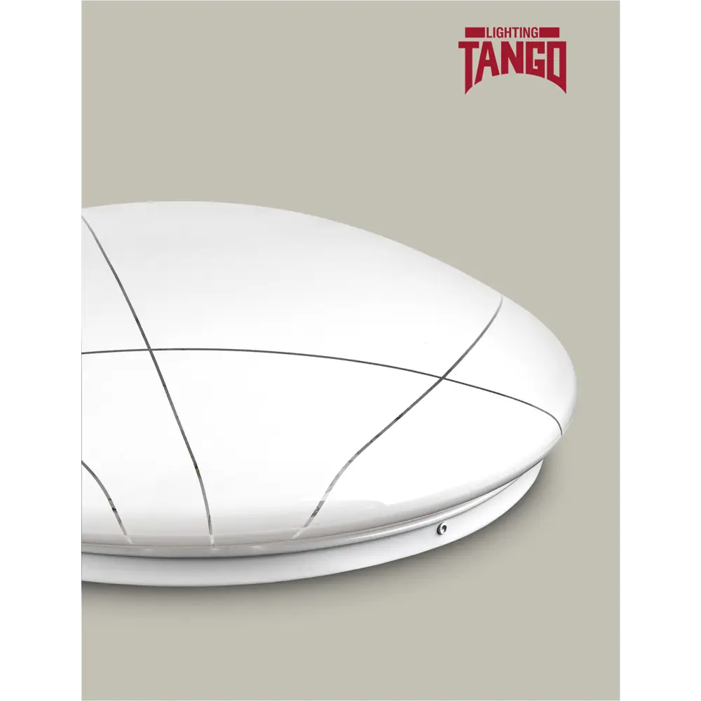Фото Светильник настенно-потолочный светодиодный TANGO 1200099 10 м² холодный белый свет цвет белый Фото Светильник настенно-потолочный светодиодный TANGO 1200099 10 м² холодный белый свет цвет белый