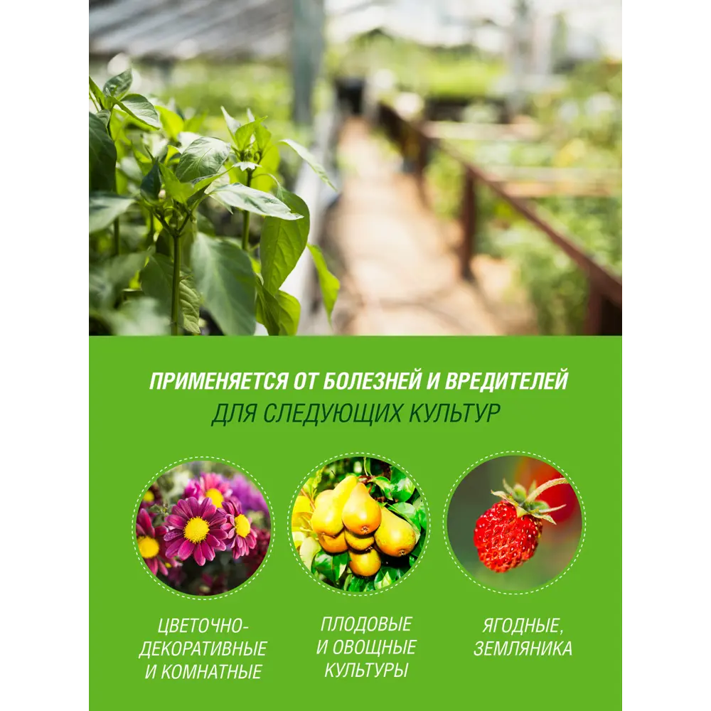 Фото 3 Удобрение Террасол 4630035661783 Осень 5 кг Фото 3 Удобрение Террасол 4630035661783 Осень 5 кг