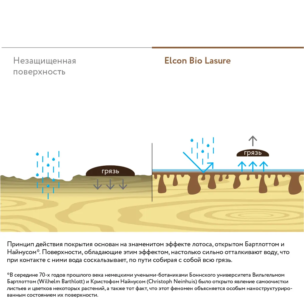 Фото 9 Водоотталкивающая пропитка для защиты дерева Elcon Bio Lasure цвет осенний клен 0.9 л Фото 9 Водоотталкивающая пропитка для защиты дерева Elcon Bio Lasure цвет осенний клен 0.9 л