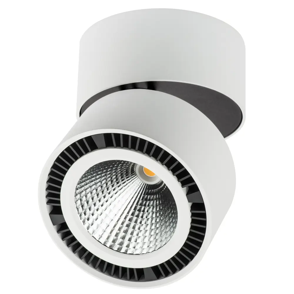 Фото Светильник точечный накладной светодиодный Lightstar Forte muro Ls_213850 12 м² цвет черно-белый Фото Светильник точечный накладной светодиодный Lightstar Forte muro Ls_213850 12 м² цвет черно-белый