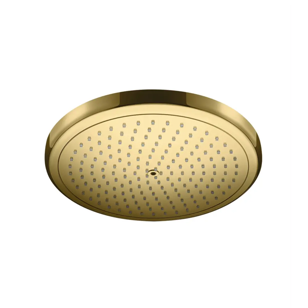 Фото Лейка для верхнего душа Hansgrohe 00000080660 круглый цвет золотой