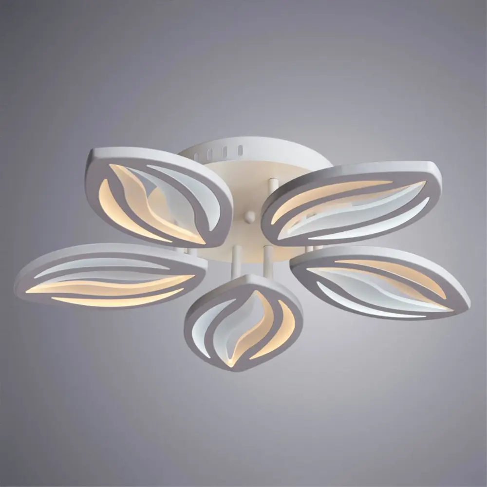 Фото 2 Потолочный светильник светодиодный Arte Lamp Daisy A1098PL-5WH холодный белый (голубой) цвет белый Фото 2 Потолочный светильник светодиодный Arte Lamp Daisy A1098PL-5WH холодный белый (голубой) цвет белый