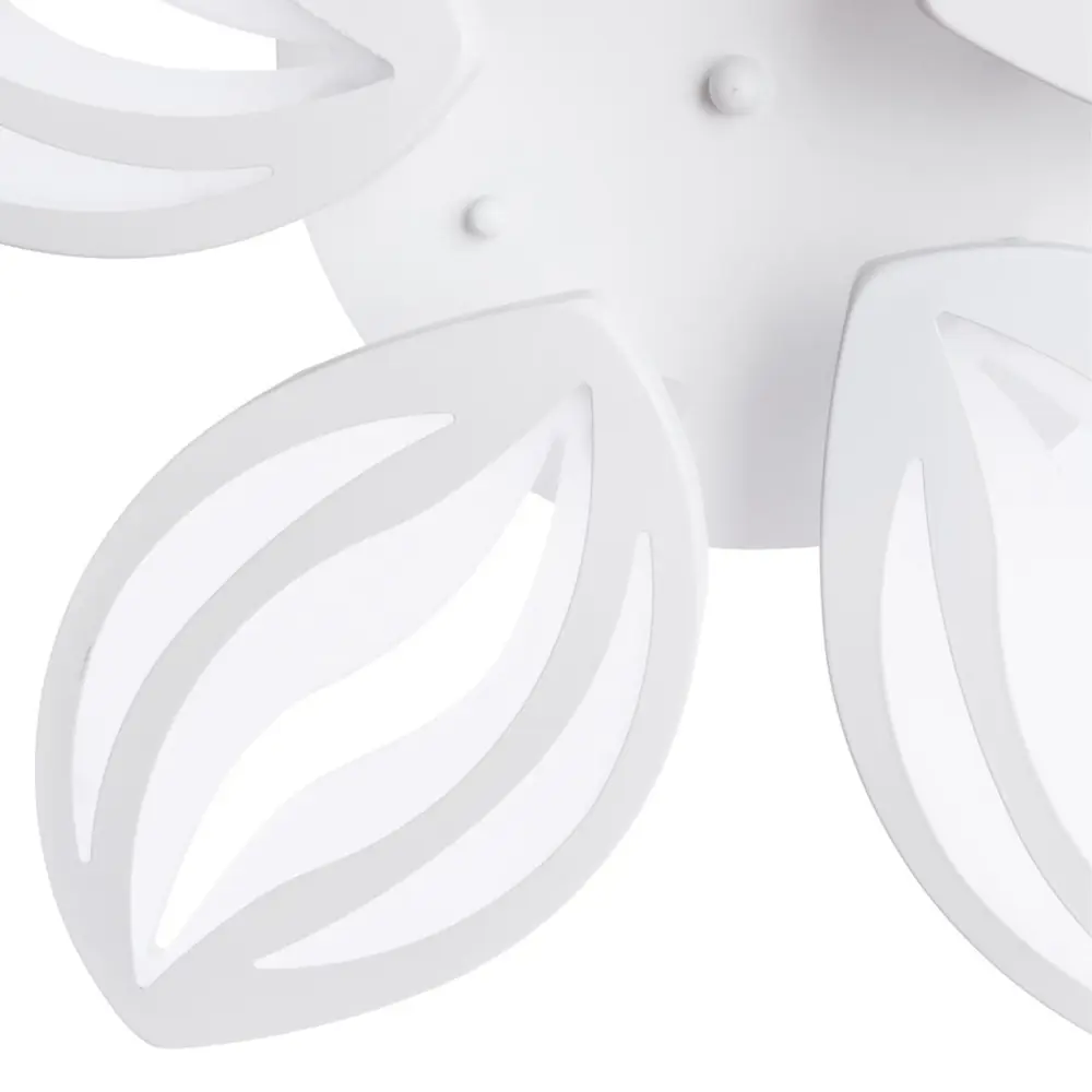 Фото 5 Потолочный светильник светодиодный Arte Lamp Daisy A1098PL-5WH холодный белый (голубой) цвет белый Фото 5 Потолочный светильник светодиодный Arte Lamp Daisy A1098PL-5WH холодный белый (голубой) цвет белый