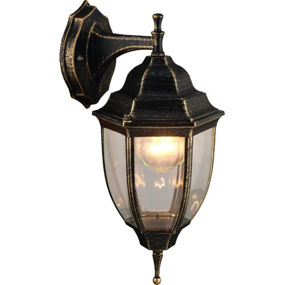 Фото Светильник уличный Arte Lamp Pegasus A3152AL-1BN IP44 Фото Светильник уличный Arte Lamp Pegasus A3152AL-1BN IP44