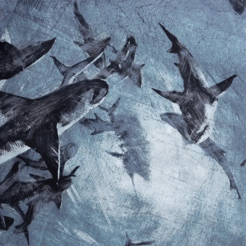 Фото 2 Комплект постельного белья Этель евро Shark бязь