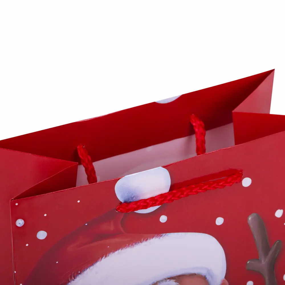 Фото 9 Пакет подарочный Набор 4 штуки новогодний 18x10x23 см Christmas Animals Золотая Сказка 591956 Фото 9 Пакет подарочный Набор 4 штуки новогодний 18x10x23 см Christmas Animals Золотая Сказка 591956