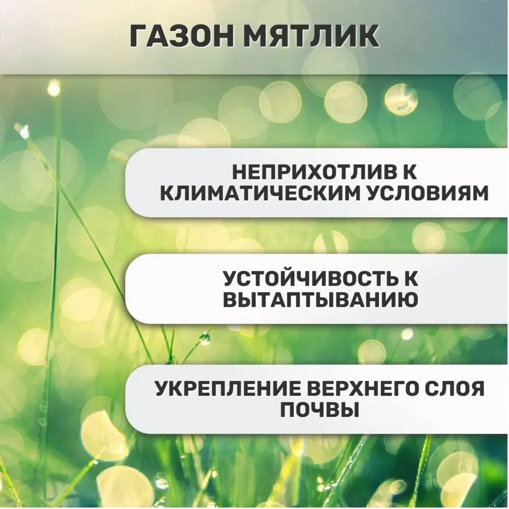 Фото 3 Семена газона Зеленый Ковер Мятлик луговой 2 шт по 250 г 500 г Фото 3 Семена газона Зеленый Ковер Мятлик луговой 2 шт по 250 г 500 г
