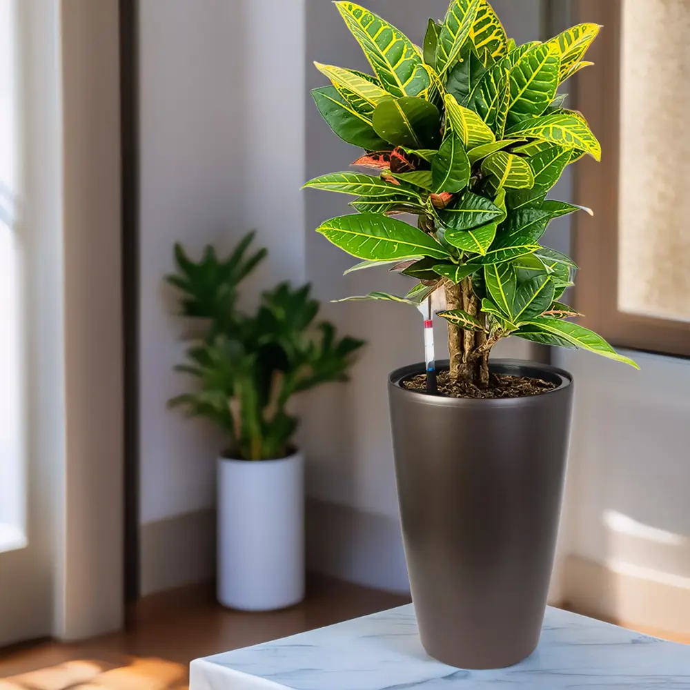 Фото 6 Кашпо Vase matt Planta vita d 33 см 57 см 22 л пластик коричневый Фото 6 Кашпо Vase matt Planta vita d 33 см 57 см 22 л пластик коричневый