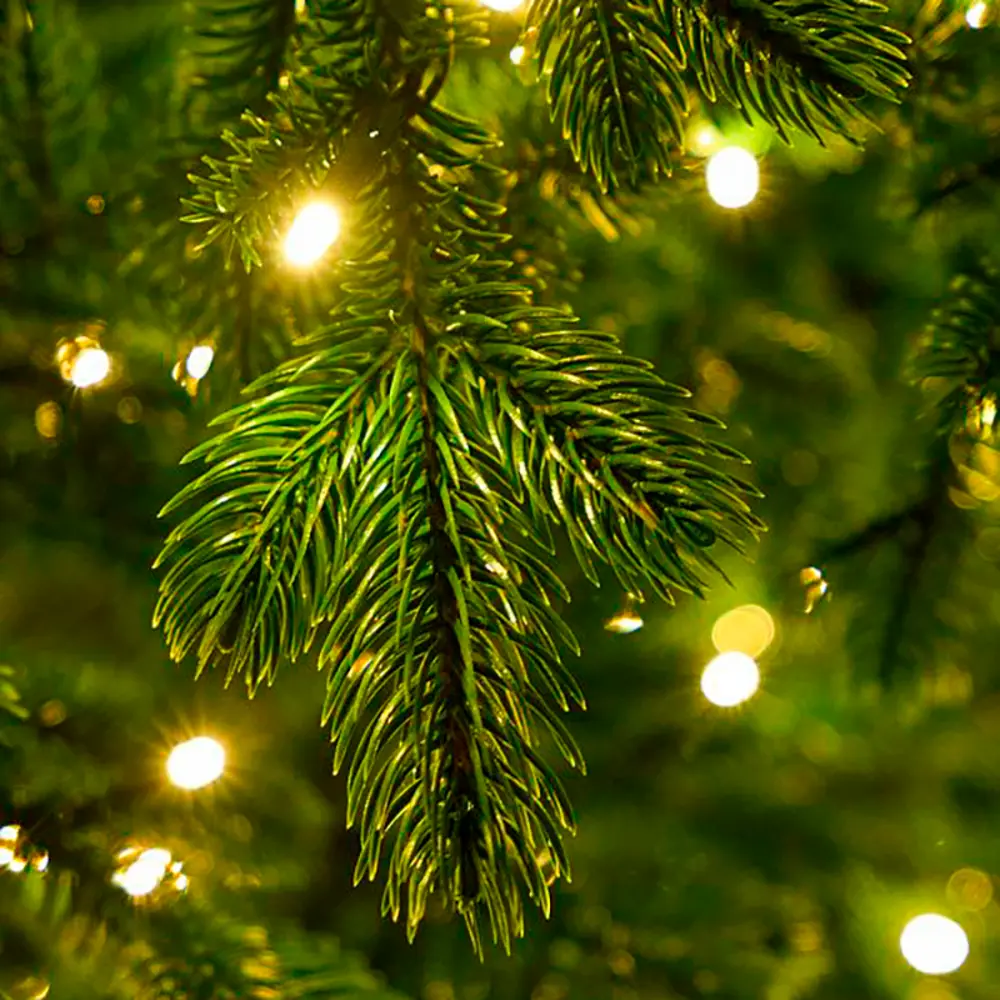 Фото 5 Ель новогодняя искусственная Max christmas ЕВЛФ 21 Византийская elite заснеженная 210 см Фото 5 Ель новогодняя искусственная Max christmas ЕВЛФ 21 Византийская elite заснеженная 210 см