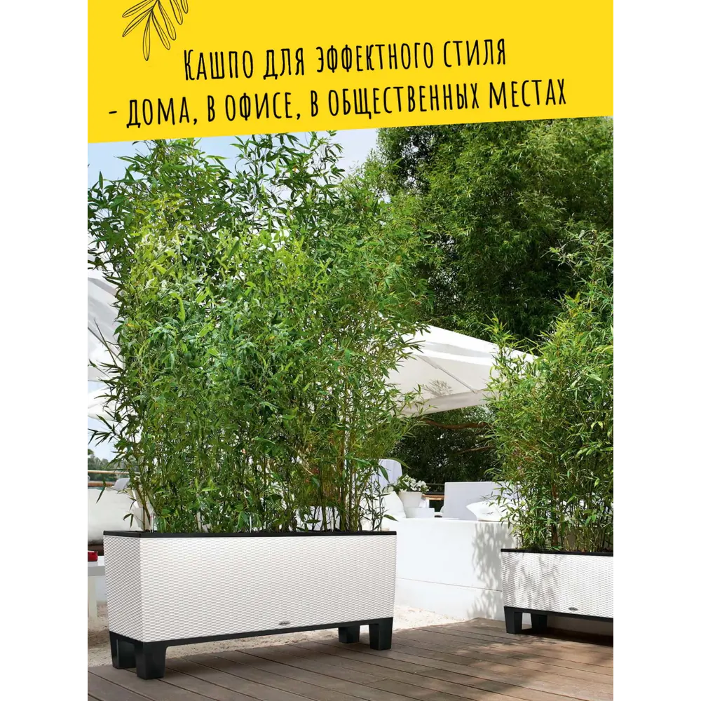 Фото 8 Кашпо напольное с автополивом Lechuza Trio Cottage 30 15000 14 л Фото 8 Кашпо напольное с автополивом Lechuza Trio Cottage 30 15000 14 л