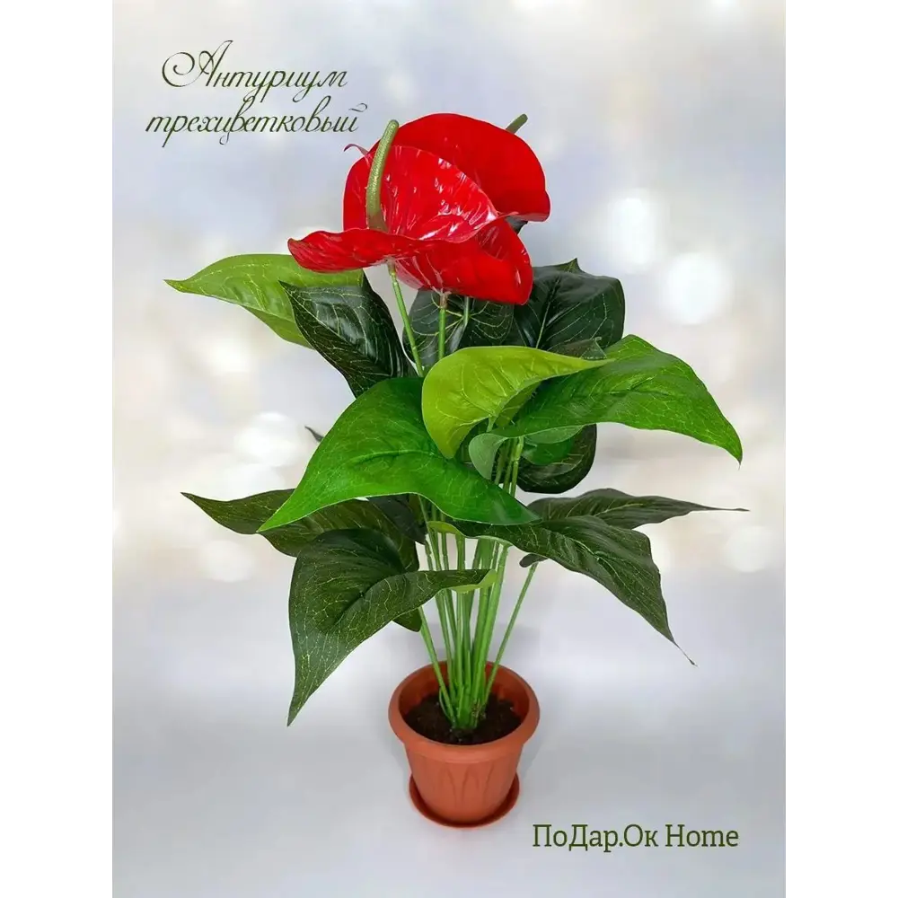 Фото Искусственный антуриум Подар.ОК Home 9x12 см цвет зеленый/красный/коричневый