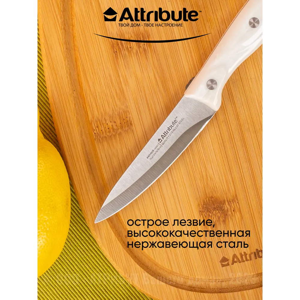 Фото 7 Набор ножей Antique 3 предмета Attribute лезвие 20 см цвет белый Фото 7 Набор ножей Antique 3 предмета Attribute лезвие 20 см цвет белый