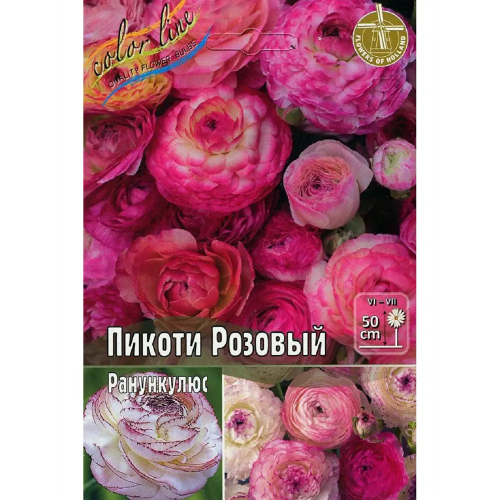 Фото Лютик Пикотти розовый луковицы 6/7 5 шт Фото Лютик Пикотти розовый луковицы 6/7 5 шт