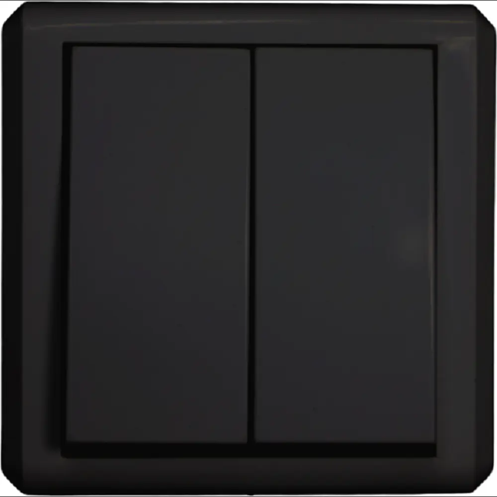 Фото Выключатель накладной Vesta Mega FVK030202CMT 2 клавиши цвет черный Фото Выключатель накладной Vesta Mega FVK030202CMT 2 клавиши цвет черный