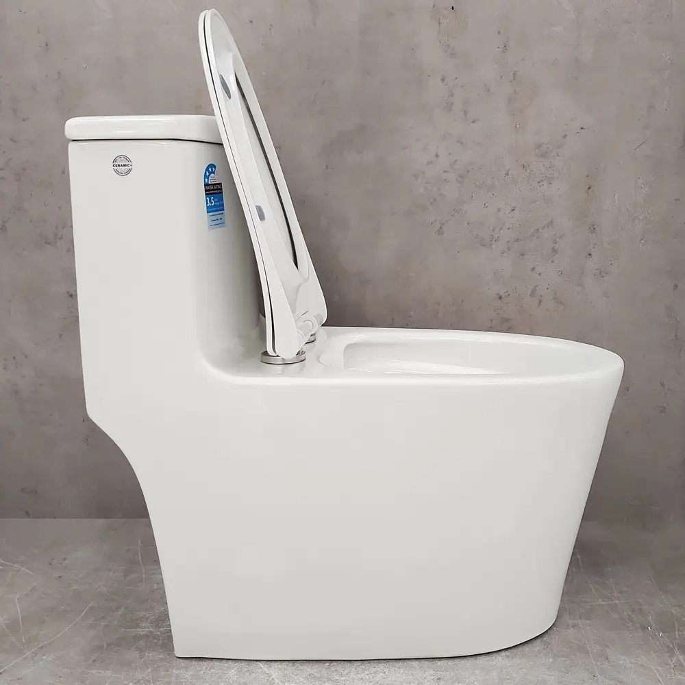 Фото 2 Унитаз-компакт Bloomix Lowe MT3101R/UF1 Ceramic моноблок безободковый Фото 2 Унитаз-компакт Bloomix Lowe MT3101R/UF1 Ceramic моноблок безободковый