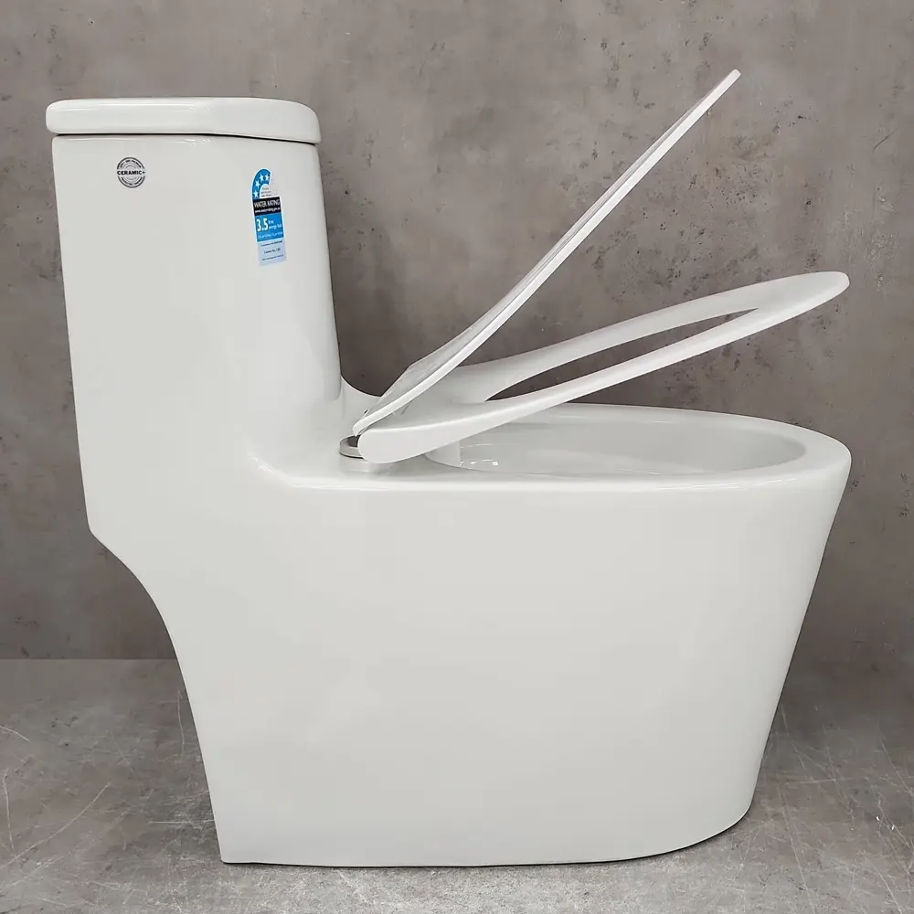 Фото 9 Унитаз-компакт Bloomix Lowe MT3101R/UF1 Ceramic моноблок безободковый Фото 9 Унитаз-компакт Bloomix Lowe MT3101R/UF1 Ceramic моноблок безободковый