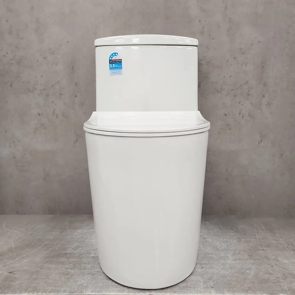 Фото 11 Унитаз-компакт Bloomix Lowe MT3101R/UF1 Ceramic моноблок безободковый Фото 11 Унитаз-компакт Bloomix Lowe MT3101R/UF1 Ceramic моноблок безободковый