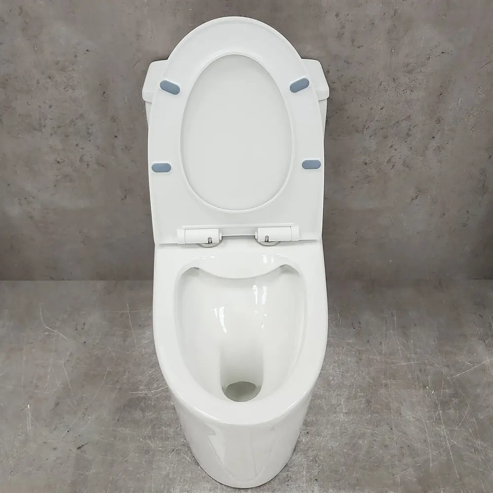Фото 8 Унитаз-компакт Bloomix Lowe MT3101R/UF1 Ceramic моноблок безободковый Фото 8 Унитаз-компакт Bloomix Lowe MT3101R/UF1 Ceramic моноблок безободковый