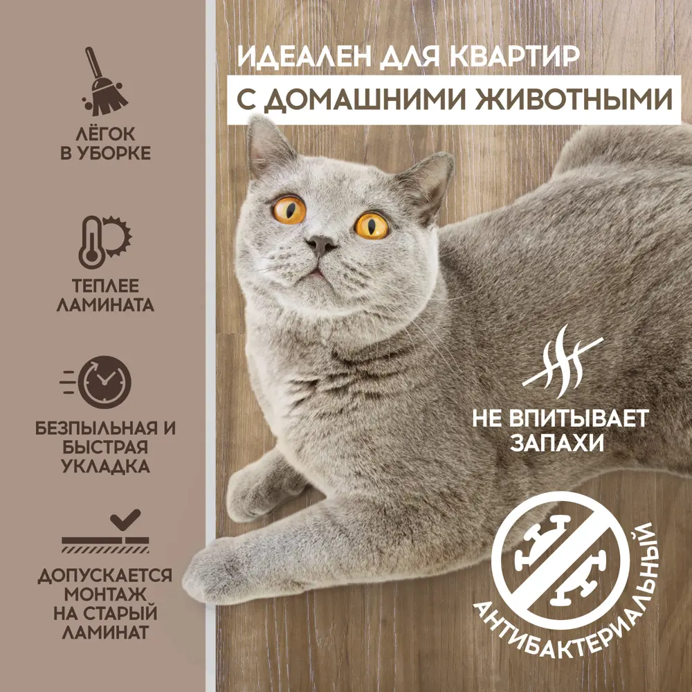 Фото 7 SPC плитка I-Floors High Дуб Жанто 43 класс толщина 4.20 мм 2.25 м², цена за упаковку Фото 7 SPC плитка I-Floors High Дуб Жанто 43 класс толщина 4.20 мм 2.25 м², цена за упаковку