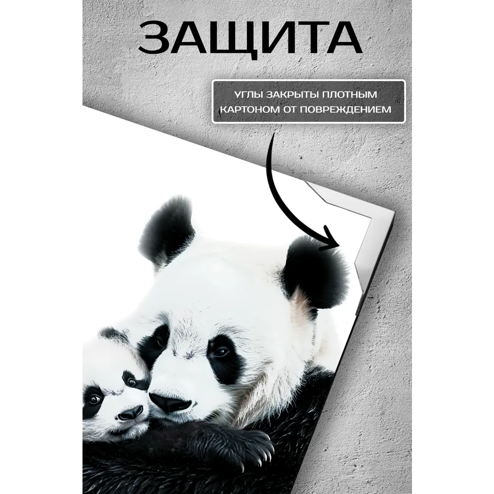 Фото 3 Картина Fbrush Теплые объятия панд 30x30 см Фото 3 Картина Fbrush Теплые объятия панд 30x30 см