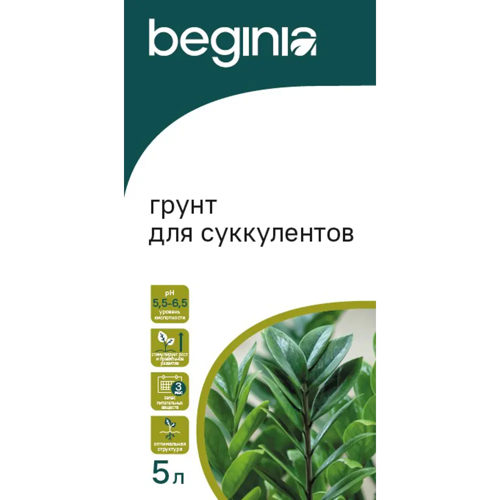 Фото Грунт Beginia для замиокулькаса и суккулентов 5 л Фото Грунт Beginia для замиокулькаса и суккулентов 5 л