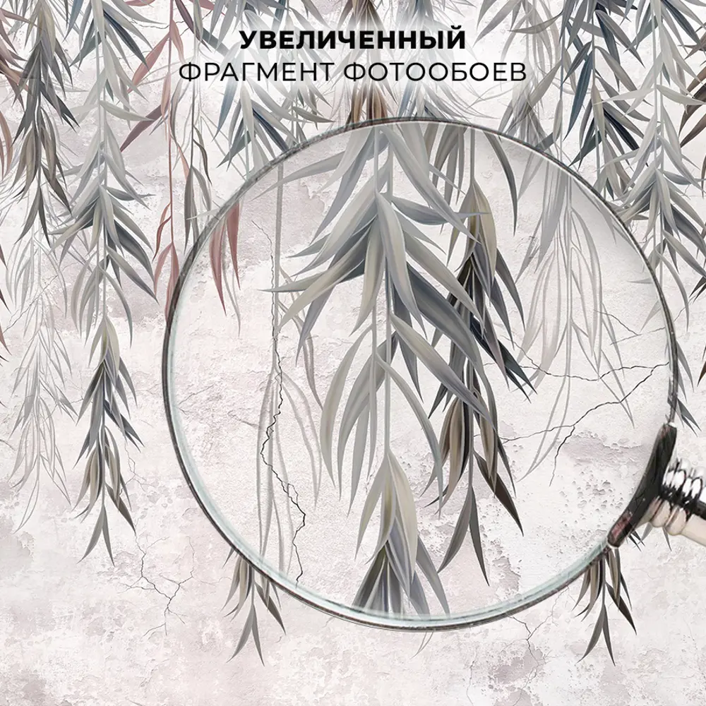 Фото 3 Фотообои бумажные Onprint Tropicbranch 200x270 см кф_2x2.7 Фото 3 Фотообои бумажные Onprint Tropicbranch 200x270 см кф_2x2.7