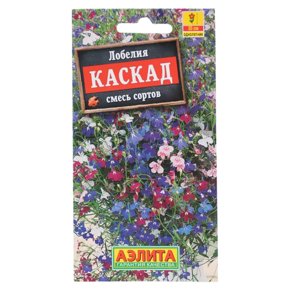 Фото Семена цветов Аэлита лобелия Каскад Фото Семена цветов Аэлита лобелия Каскад