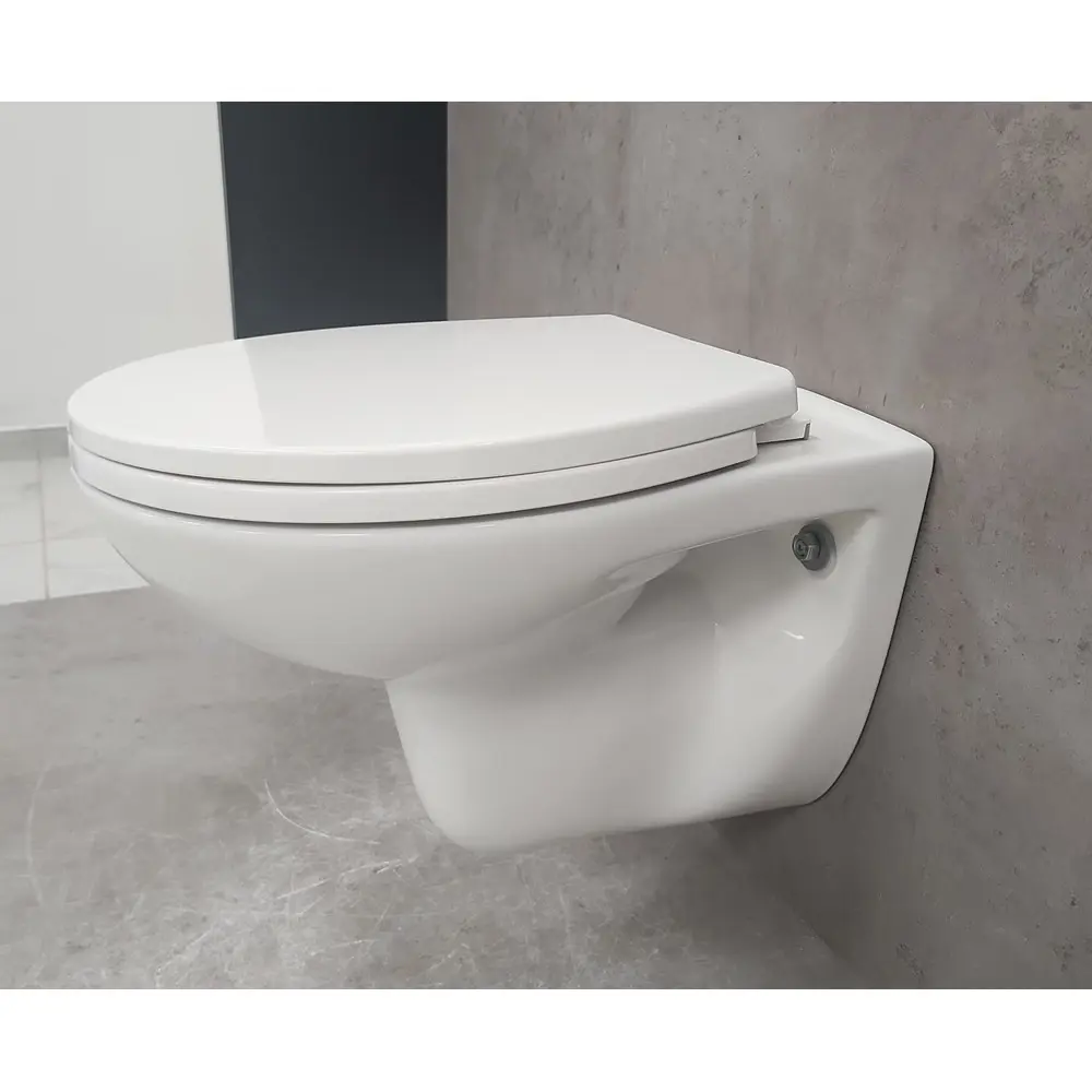 Фото 7 Унитаз подвесной Bloomix Lori 2.0 T140901R/PP MS-182158 безободковый с сиденьем микролифт Фото 7 Унитаз подвесной Bloomix Lori 2.0 T140901R/PP MS-182158 безободковый с сиденьем микролифт