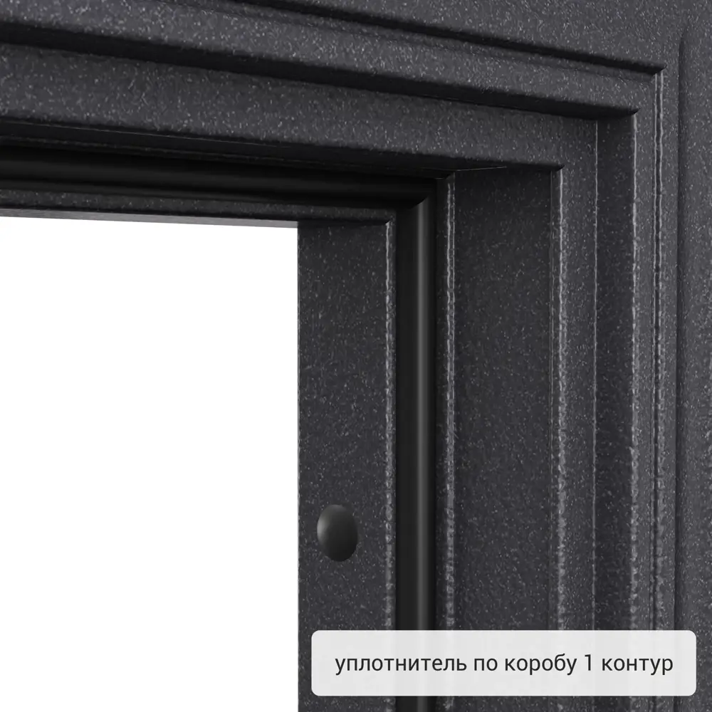 Фото 11 Входная дверь Torex Flat-M правый 205x95см цвет coMina ash bora