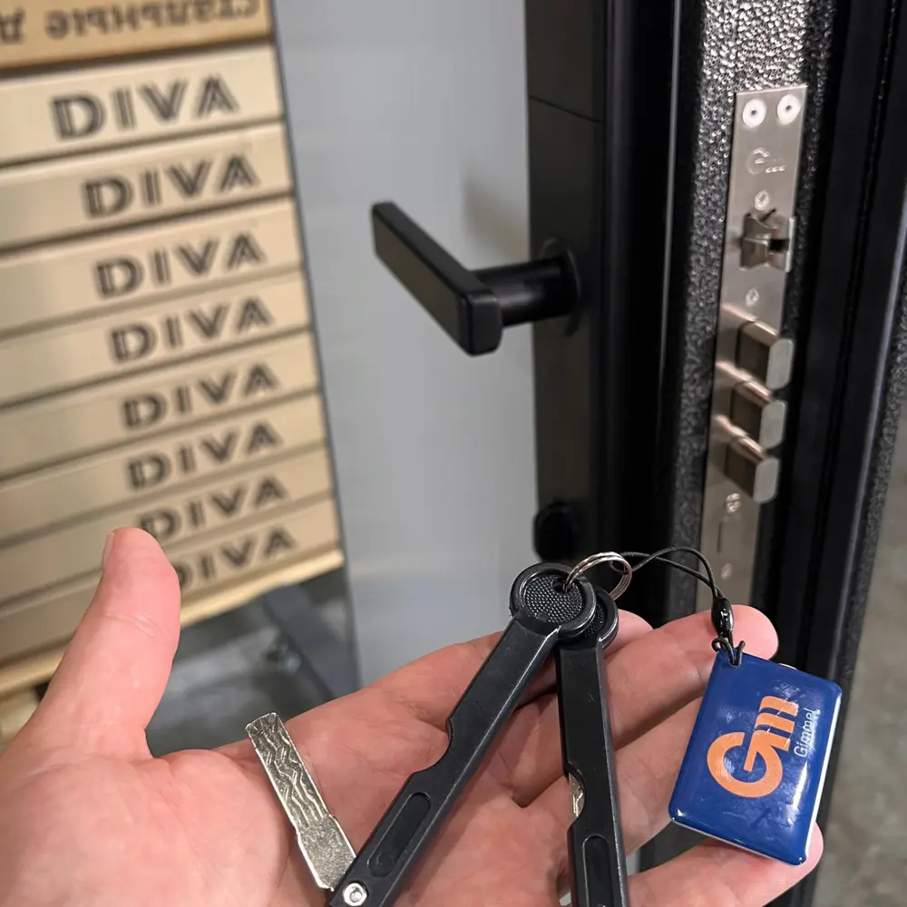 Фото 4 Входная дверь Diva Foreman Т правый 205x86см с электронным замком цвет антик серебро/эмалит белый Фото 4 Входная дверь Diva Foreman Т правый 205x86см с электронным замком цвет антик серебро/эмалит белый