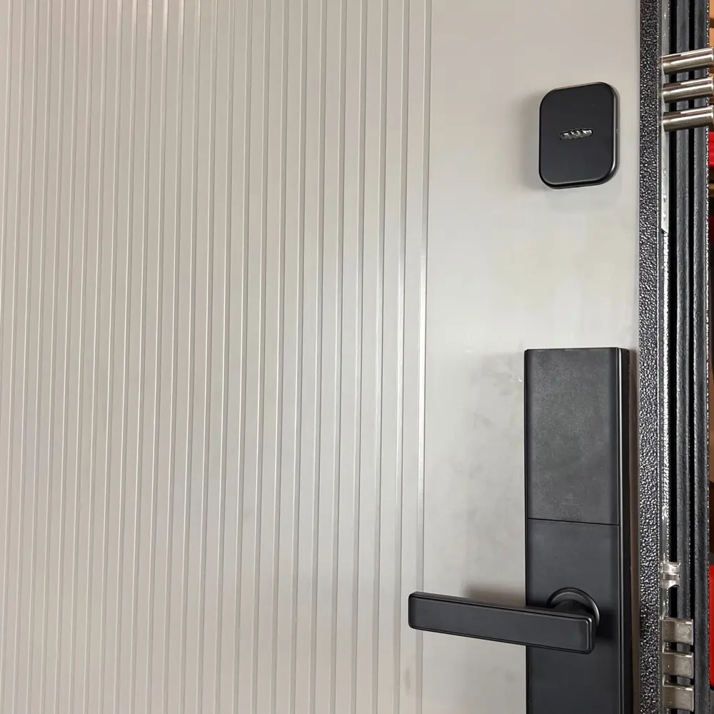 Фото 6 Входная дверь Diva Foreman Т правый 205x86см с электронным замком цвет антик серебро/эмалит белый Фото 6 Входная дверь Diva Foreman Т правый 205x86см с электронным замком цвет антик серебро/эмалит белый