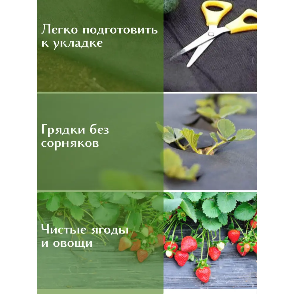 Фото 8 Геотекстиль иглопробивной для грядок клумб и клубники дорожек спанбонд Aeahome 0.8x10м 80г/м² Фото 8 Геотекстиль иглопробивной для грядок клумб и клубники дорожек спанбонд Aeahome 0.8x10м 80г/м²