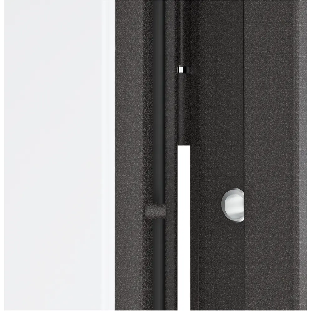 Фото Входная дверь Меги Home-Z 205x97см левый цвет белый/серебро на черном с зеркалом Фото Входная дверь Меги Home-Z 205x97см левый цвет белый/серебро на черном с зеркалом