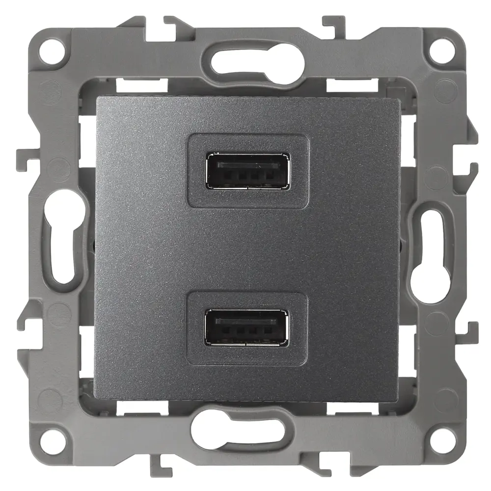 Фото Розетка USB ЭРА 12-4110-12 230В/5В-2100мА IP20 цвет графит Фото Розетка USB ЭРА 12-4110-12 230В/5В-2100мА IP20 цвет графит